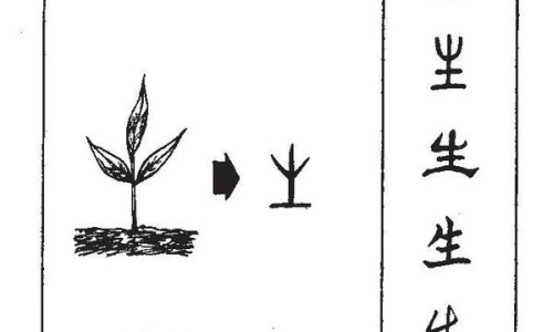 紫罗兰功效与作用禁忌-紫罗兰功效与作用网 - 紫罗兰的功效与作用及禁,紫罗兰的功效与作用及食用方法